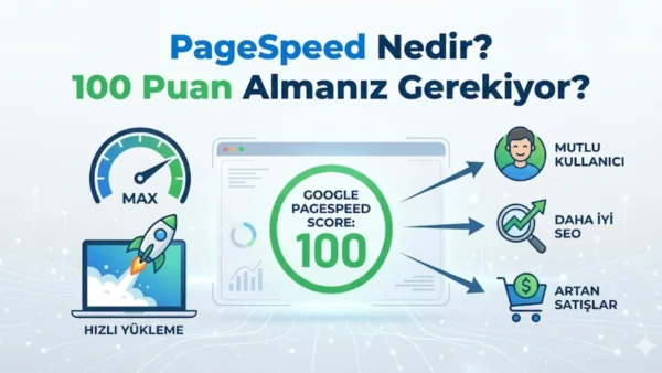 PageSpeed Nedir? Neden 100 Puan Almanız Gerekiyor?